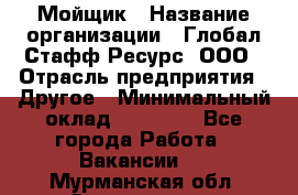 Мойщик › Название организации ­ Глобал Стафф Ресурс, ООО › Отрасль предприятия ­ Другое › Минимальный оклад ­ 30 000 - Все города Работа » Вакансии   . Мурманская обл.,Оленегорск г.